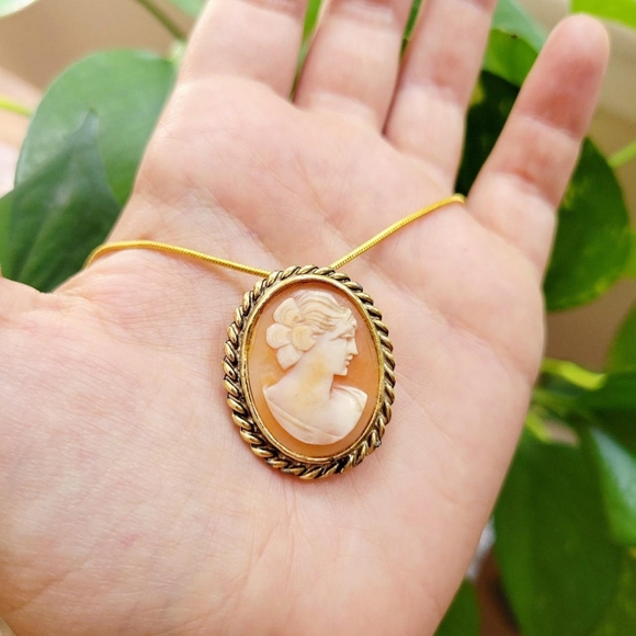 Vintage Classic Cameo Necklace and Boucher Brooch Pin - Picture 1 of 5